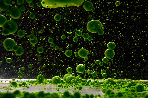 istock Bubbles and droplets create a captivating green underwater landscape at night 2211652296
