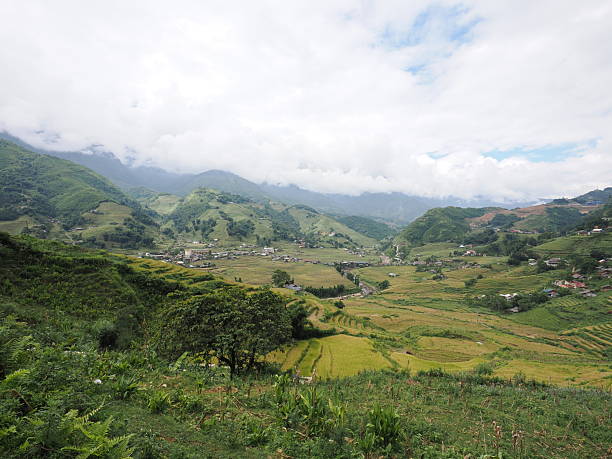 istock Sapa in Vietnam 2211659998