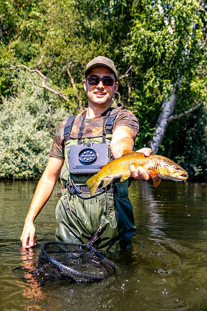 istock Fisherman showing brown trout while standing in river 2211670711