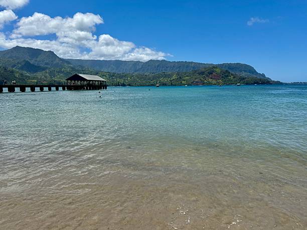 istock Hanalei pier, Kauai 2211671669