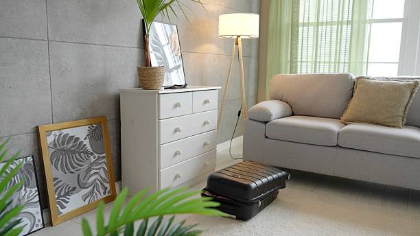 Minimalist composition of elegant and outstanding space with copy space, blue commode, books, green leaves in vase and personal accessories. Home decor. Template.