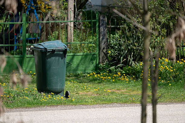istock Green garbage bin on grassy roadside with flowers 2211677250