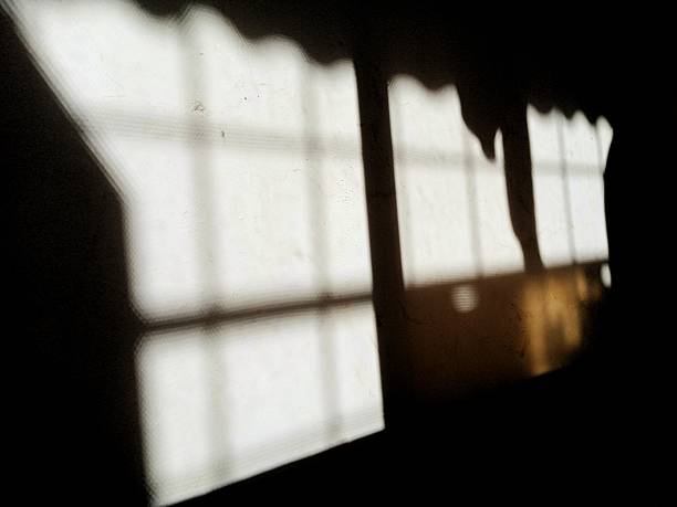 istock Shadow of iron trellis fence 2211679287