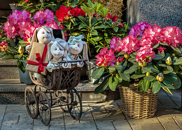 istock Vintage stroller with plush rabbits and a gift among blooming rhododendrons 2211679613