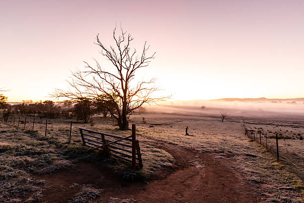 As the sun rises, a brilliant display of colour fills the sky above a misty valley, where a dead tree stands alone in the field.