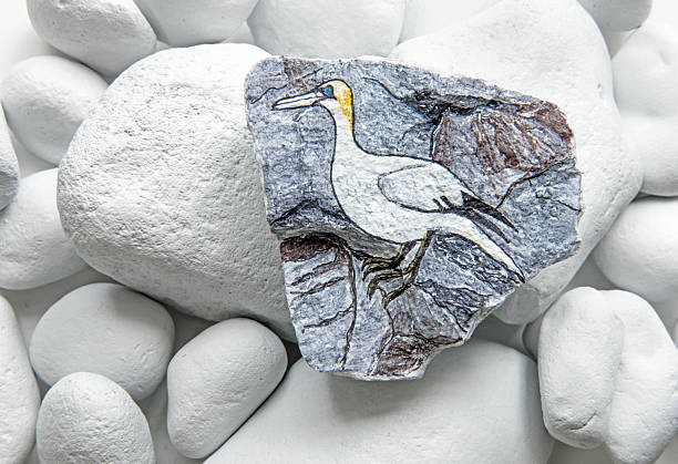 Painted rock of a Northern Gannet Seabird on white rock background, typically found in North Atlantic Ocean region.