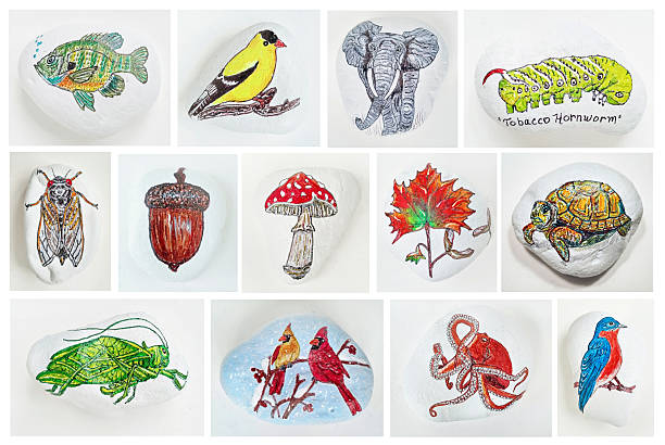 Collection of individual and unique painted rocks in Ohio with various colorful images.