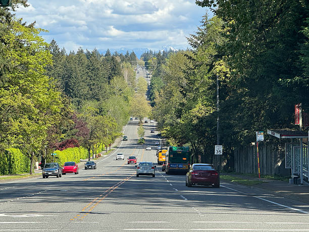 istock Beautiful Spring Morning in Bellevue Washington 2211686301