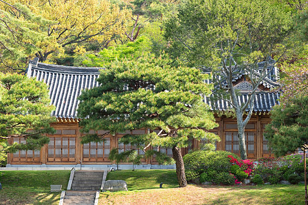 istock Beautiful Spring Morning in Seoul Korea 2211686302