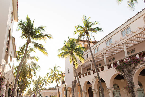 istock A Romantic Sunset Sky & Breezy Palm Trees Over Empty Worth Avenue, Palm Beach, Florida During April of 2025 2211689381