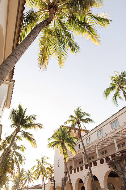 istock A Romantic Sunset Sky & Breezy Palm Trees Over Empty Worth Avenue, Palm Beach, Florida During April of 2025 2211689414