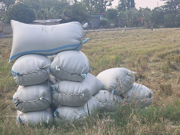 istock sack of rice 2211690560