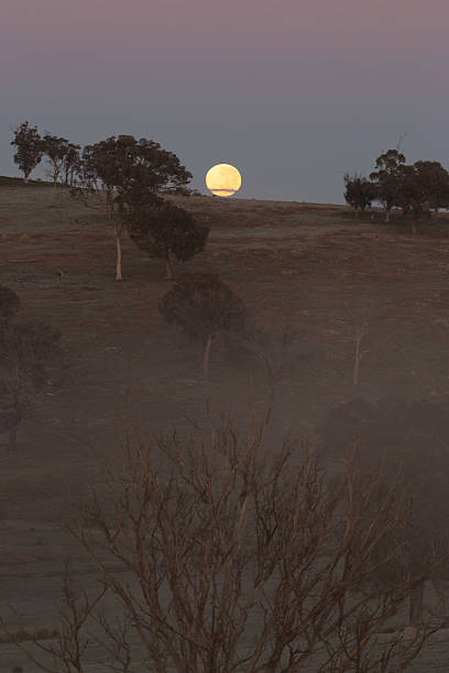 istock A large orange moon rises over a misty hill as sheep graze quietly beneath silhouetted trees 2211696932