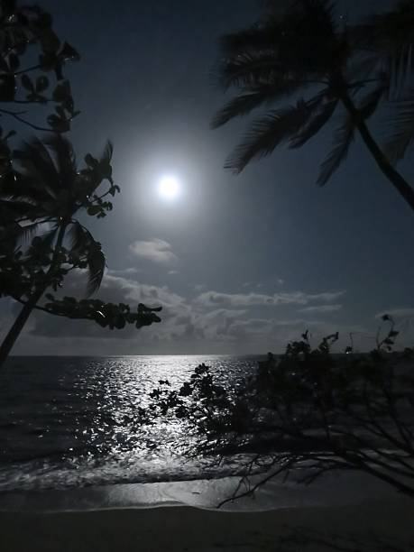 istock The Full Moon Rises over the Coral Sea 2211705311