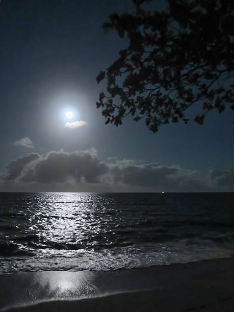istock The Full Moon Rises over the Coral Sea 2211705331