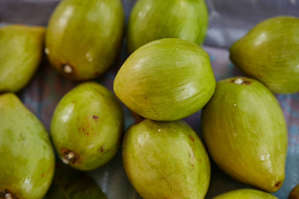 Close-up view of ripe Pouteria Campechiana fruit