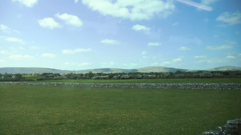 Crisp winter landscape view with bare trees and open fields in a serene countryside setting