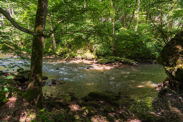 istock Clifton Gorge State Nature Preserve in Ohio 2211710533