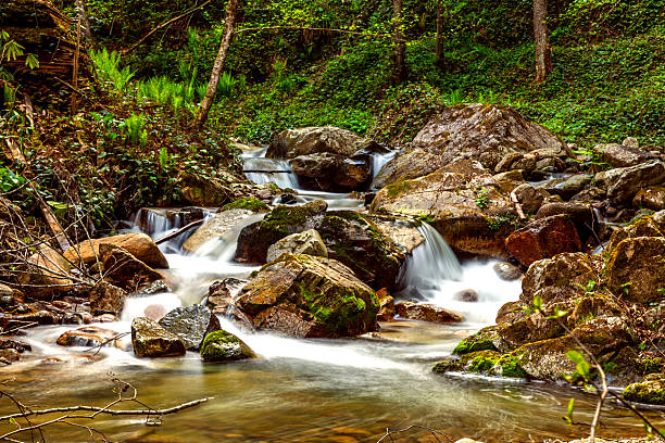Hemsin Waterfalls, rushing waters coming from Kackar Mountains