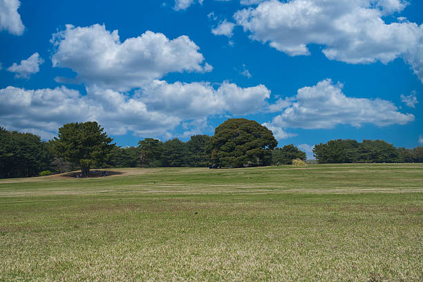 Tranquility in Green and Blu