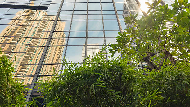 istock Low Angle View of Trees and Skyscrapers Against a Morning Sky 2211712468