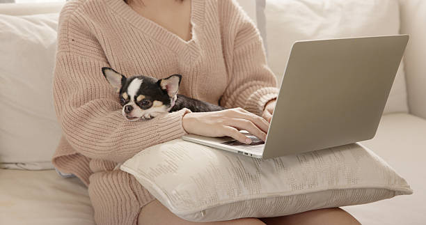 istock Asian woman relaxing with her dog while using laptop at home on weekend. 2211713334