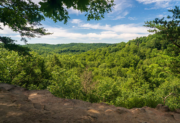 istock Conkles Hollow State Nature Preserve 2211713909