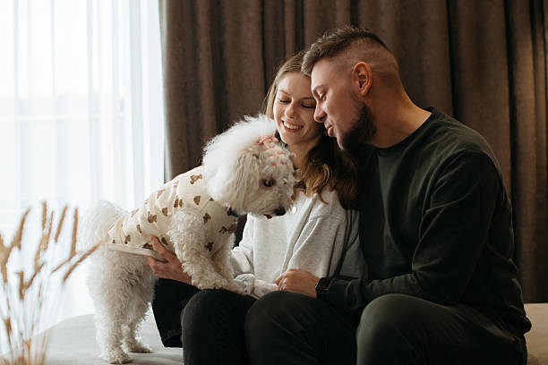 istock Couple relaxing on sofa with their adorable dog 2211716980
