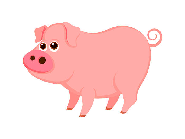 śliczna różowa świnia w ilustracji wektorowej w stylu kreskówki - świnia domowa stock illustrations