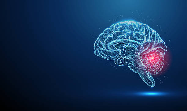 istock Abstract blue brains with red spot. Brains diseases, medical treatment, cerebellar disorders concept. Low poly style. 2211727533