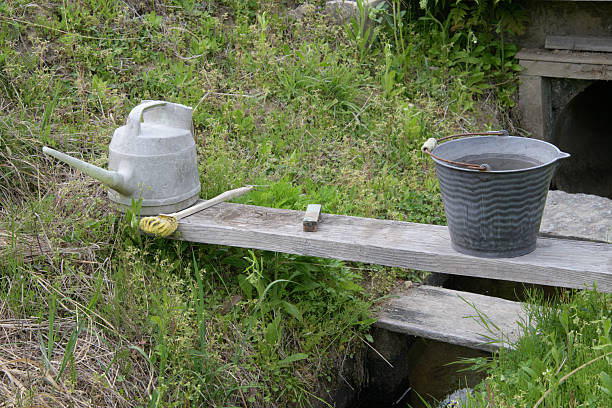 Watering cans and buckets prepared to remove mud after farm work.