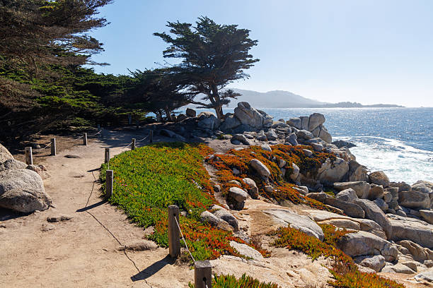 istock Coastal landscape in California 2211738939