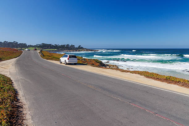A captivating coastal landscape featuring the majestic ocean and towering fir trees along the scenic 17-Mile Drive in California