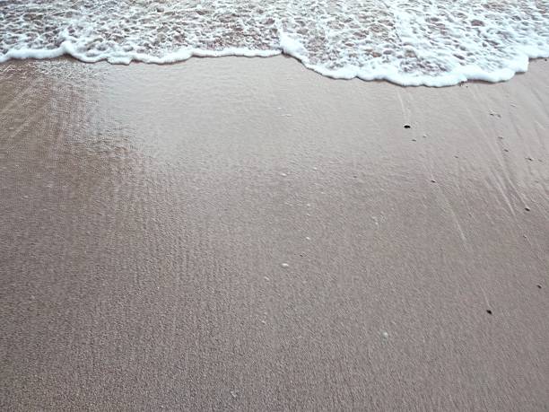 A calm ocean wave with white foam gently washes over a tropical sandy beach. The photo captures the serenity of nature, minimal textures, and soft coastal tones—ideal for backgrounds, travel concepts, nature themes, or peaceful lifestyle visuals.