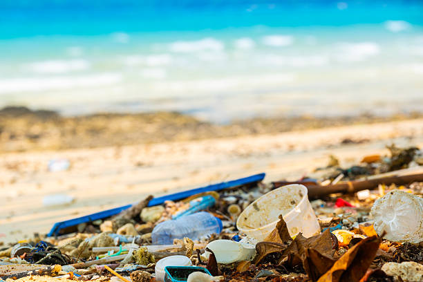 trash, plastic cups and plastic bags at the beach. environmental problem concept and healing the world