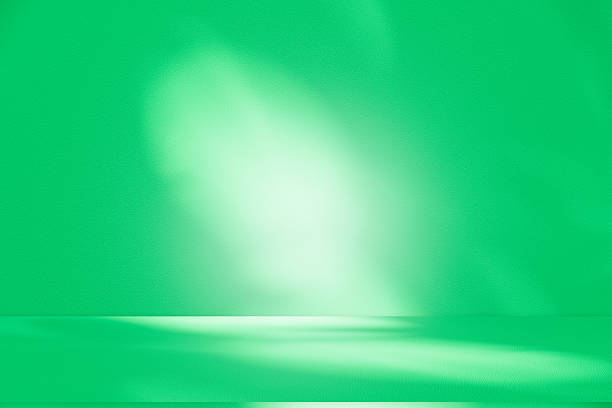 istock Studio style background wall decoration presentation uses white and green tones. with shadows cast from a nearby window, concept creating a decorative 2211742333