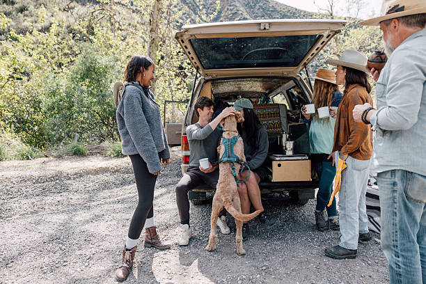 istock Group of multi ethnic friends camping in the forest 2211745421