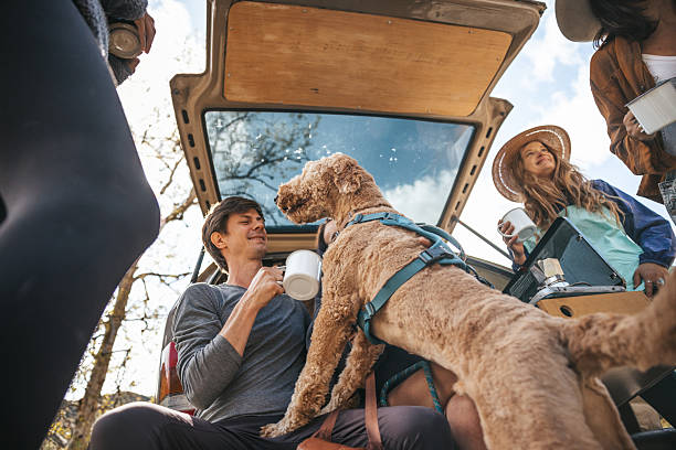 istock Group of multi ethnic friends camping in the forest 2211745557