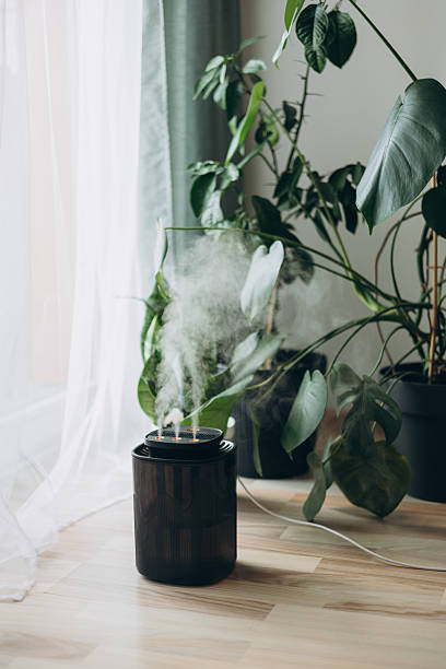 istock Diffuser, apartment with moisturizer. Modern humidifier at home, moistens dry air surrounded by indoor Monstera houseplant. Humidification, plant care, comfortable living conditions concept. 2211746049