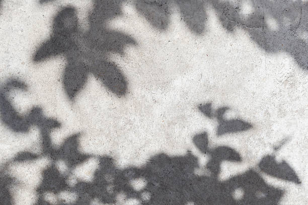 istock Empty wall surface with leaves shadows and sunlight. Cozy top view empty copy space close up concrete table surface mock up background for text and design. Wall with shadows. Abstract wall background 2211746466