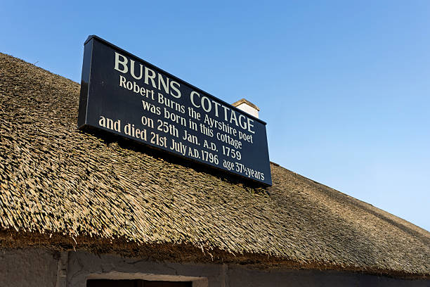 Close-up detail of a thatched roof.