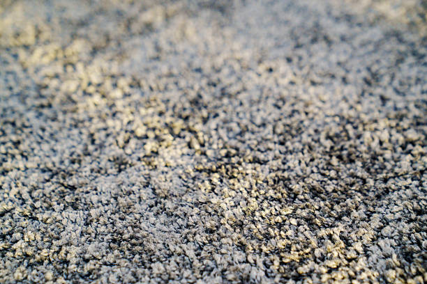 close-up. dark gray Interior pile carpet made of polypropylene. Long fibers form a high pile. pleasant lint texture, softness and hypoallergenicity.