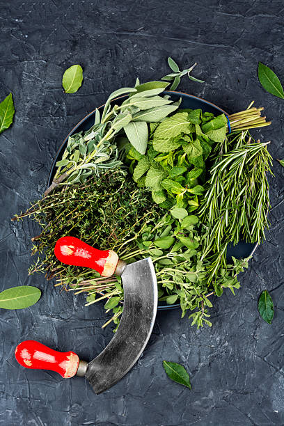 istock Fresh raw various spices herbs, seasoning. 2211752312