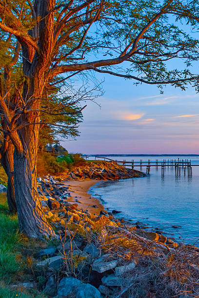 istock Chesapeake Bay shoreline view, southern MarylandI 2211764037