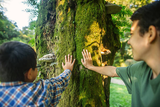 istock Boys connecting with nature 2211766288