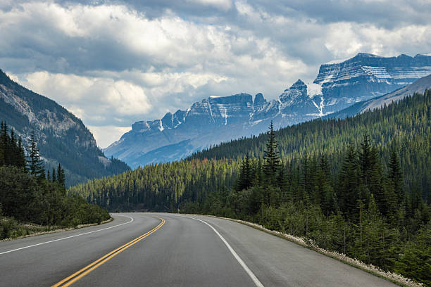 istock Scenic mountain road winding through lush forest under a dramatic sky in North America 2211770608