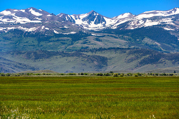 istock Vast green fields meet majestic snow-capped mountains under a clear blue sky in an untouched landscape 2211772498