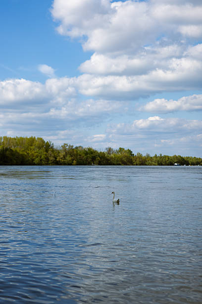 istock Serene River Landscape with Blue Sky and Clouds 2211772674