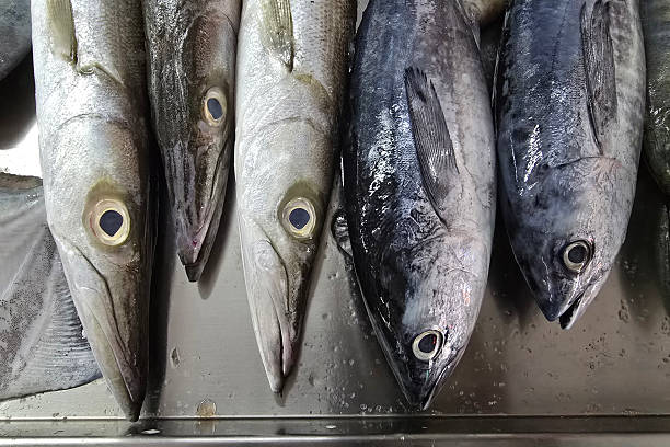 istock Fresh Fish Displayed at Wet Market 2211774362