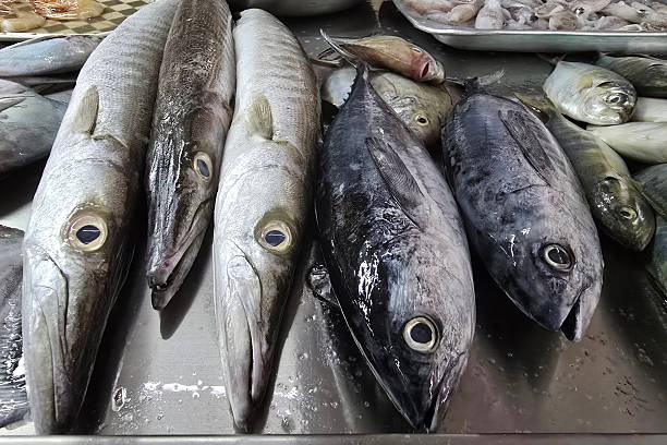 istock Fresh Fish Displayed at Wet Market 2211775144